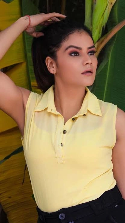 Cast Of Bhabhi Ka Bhaukal